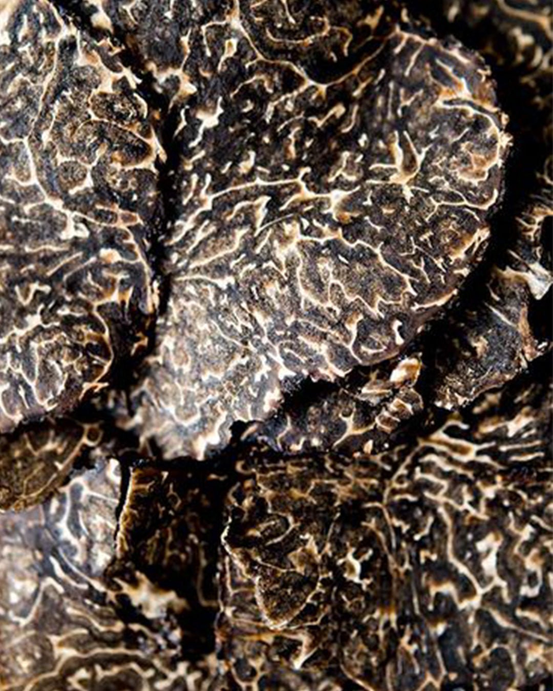 Zoom sur de la truffe, utilisée dans notre gamme de sels aromatisés.