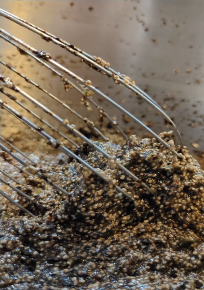 Comment utiliser les graines de chia - Ancrée