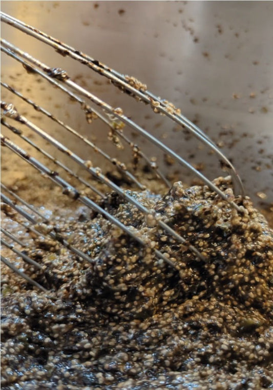Comment utiliser les graines de chia - Ancrée